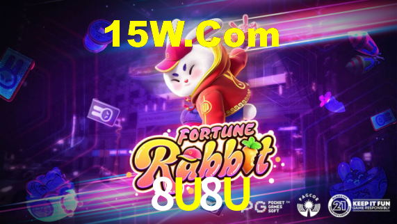 Premium Interface 8U8U